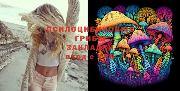 соль курить ск Алзамай