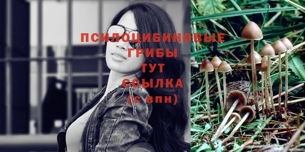 спайс Абинск